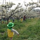 과수원길협동조합 이미지