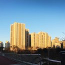 드리다공인중개사사무소 이미지