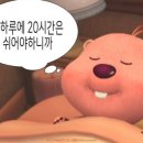 헤어캐스팅 이미지