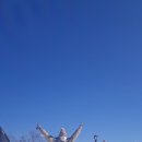탐여행사