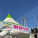 안동암산얼음축제 후기(빙어낚시, 썰매, 미끄럼틀 등)