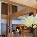 쌀통닭 수영점 | 괌 가족여행 3박 5일 일정 #02 (롯데호텔 | 오션프론트 디럭스 | 야외수영장 | 비치 카바나 | 스파...