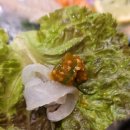 태전근린공원(B) | 경기광주태전동맛집 모듬회 가성비 넘치는 저녁 가능한 세민수산 태전점 후기