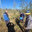 제천시농업기술센터 이미지