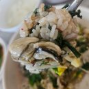 들꽃이 있는 바다 | 충청남도 가볼만한곳으로 천북 굴단지 들꽃먹거리 석화정 굴돌솥밥 가성비 맛집 현실부부 외출 방문 후기