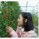 보성농장 이미지