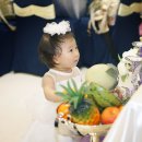 복실강아지 이미지