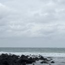 큰돈물 | [제주/함덕] 얼큰한 우럭조림 양념이 밥도둑인 ‘큰돈물식당‘ 또 가고싶은 맛집 !!