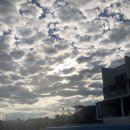 셀비아펜션 | 포항 셀비아 펜션 후기 <미온수 수영장, 스파가 있는 펜션>