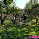 버들농장 이미지