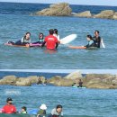 서프너리 이미지