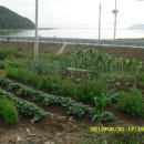 가덕농장 이미지