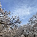 연지공원(북) 이미지