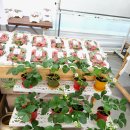 에스핏 피티 필라테스 이미지