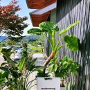 주식회사 하농 이미지