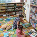 진해기적의도서관 이미지