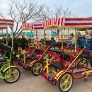 을숙도 자전거 무료대여소 이미지