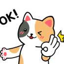 논현센타약국 이미지