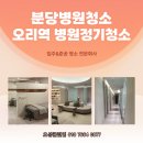 오성클린업