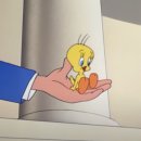 트위티 카카오 검색결과