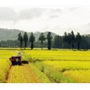 현저 공중화장실 이미지