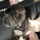 유앤아이동물병원 이미지