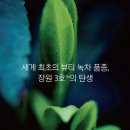 아모레광진