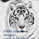 꿈냥꿈냥 이미지