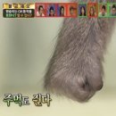 Monterey17 Hotel | 3월의 후쿠오카 벌써 덥다