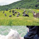 백두 에너지 이미지