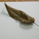 세밀화 그리기 이미지