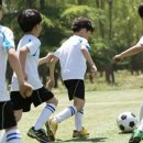 팀스포츠 이미지