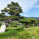 빛고을가든 이미지