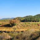 우포가시연꽃마을 | 창녕 여행지 코스 갈만한곳 | 람사르습지 창녕 우포늪 | 경남 가볼만한곳