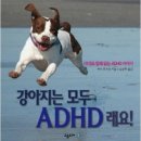 래요 이미지