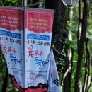 산호동229 이미지