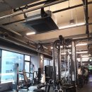 레드스타필드 휘트니스 이미지