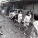 르고 Daum카페