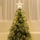 조요소 | 환상적인 분위기, 조아트 드레스 지네전구 후기