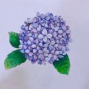 [백석]수채화&보타니컬 이미지