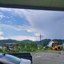 서일건기 이미지