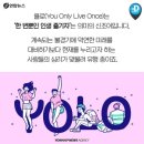 욜로 Daum카페