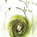 디자인하우스 이미지