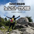 지리산(대구) | 화개재 ~ 뱀사골 (블랙야크 100대 명산 지리산 반야봉 여름등산 난이도) ｜ 대구 kj 산악회 혼자 이용 후기