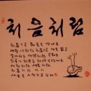 마콘도턴 이미지