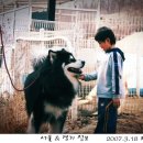 겨루 Daum카페