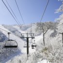 미르여행사 - 동구 매봉로 18 | 미르여행사