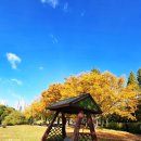 하늘과호수사이민박 | [가을나들이] 일산호수공원 가을 나들이 후기 - 청명한 하늘과 고운 단풍, 그리고 특별한 만남