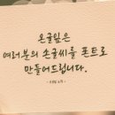 비타상점 이미지
