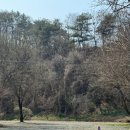 용가리쌤 야영장 이미지